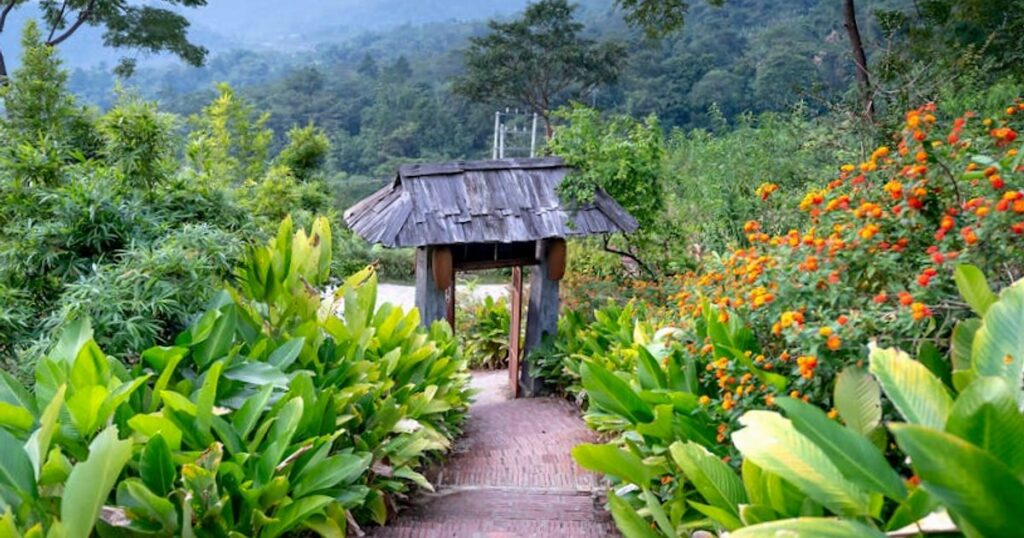 Khao Sok budżetowo: praktyczny przewodnik po tanim zwiedzaniu tajskiego lasu deszczowego