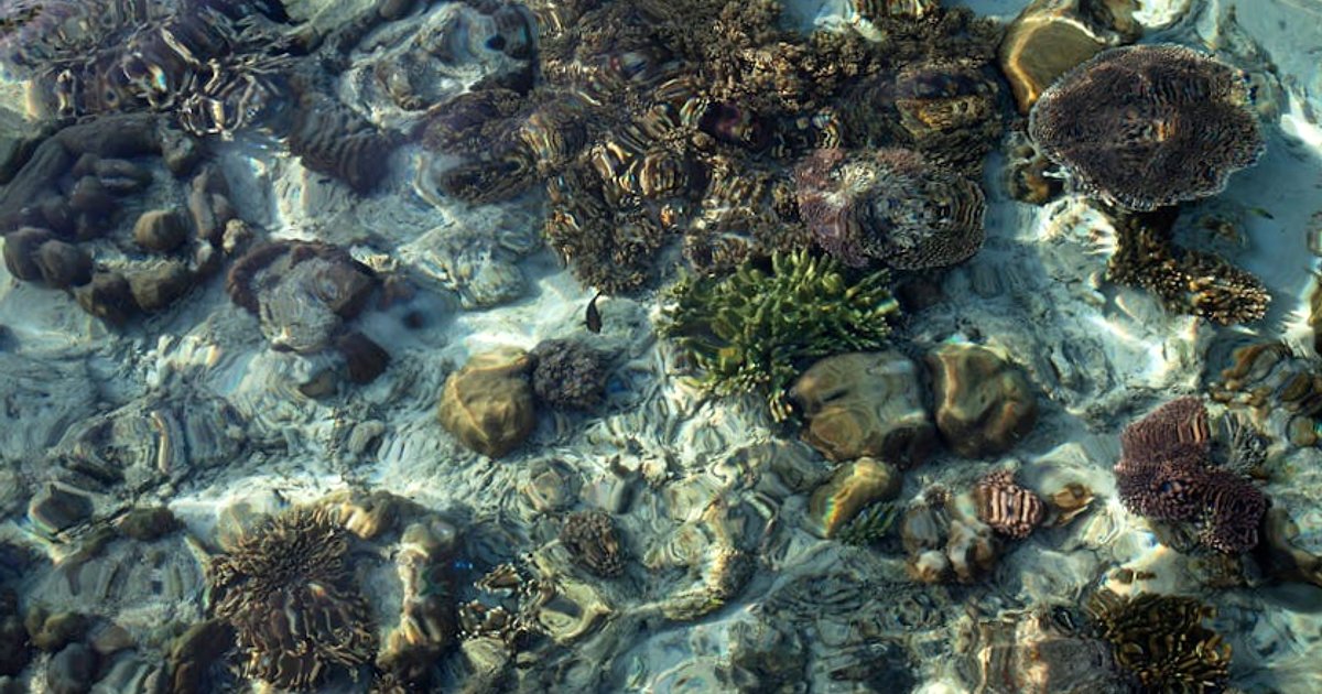 Eko-snorkeling w Tajlandii: jak chronić rafy i nie zrujnować budżetu