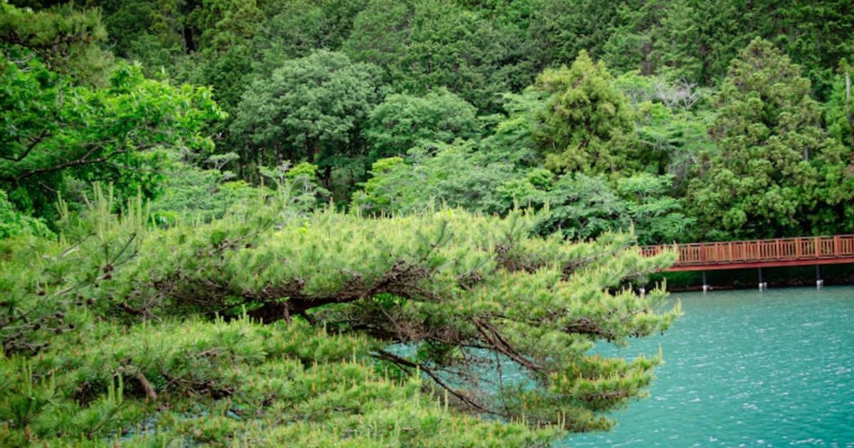 Onseny w Hakone bez stresu i bankructwa: ile to kosztuje, które wybrać i jakie są zasady?
