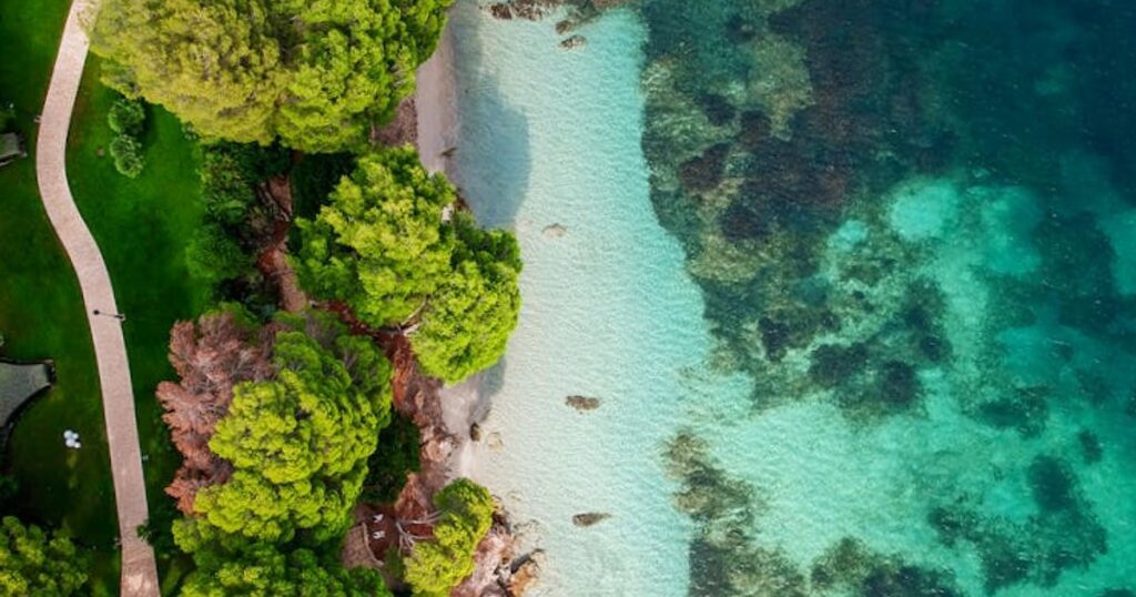 Południe czy północ Majorki na snorkeling? Porównanie zatok, cen i dojazdu