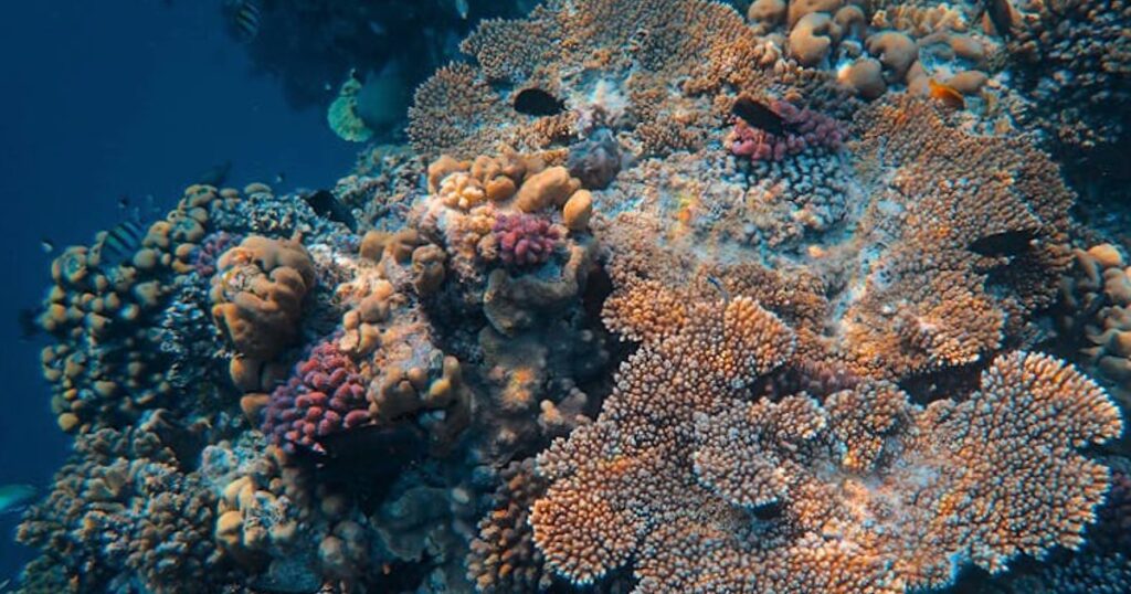 Sezon na snorkeling w Tajlandii: kiedy jechać, żeby mieć widoki i nie zbankrutować