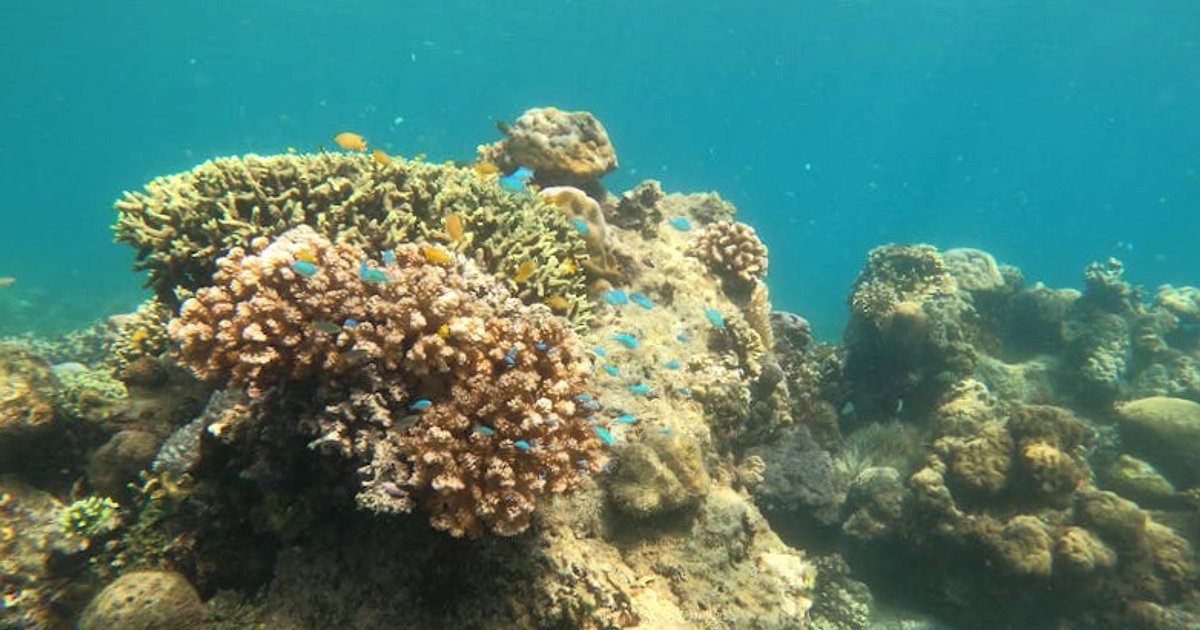 Tani snorkeling z rodziną w Tajlandii w sezonie 2025/26 – realne ceny i sprytne oszczędzanie
