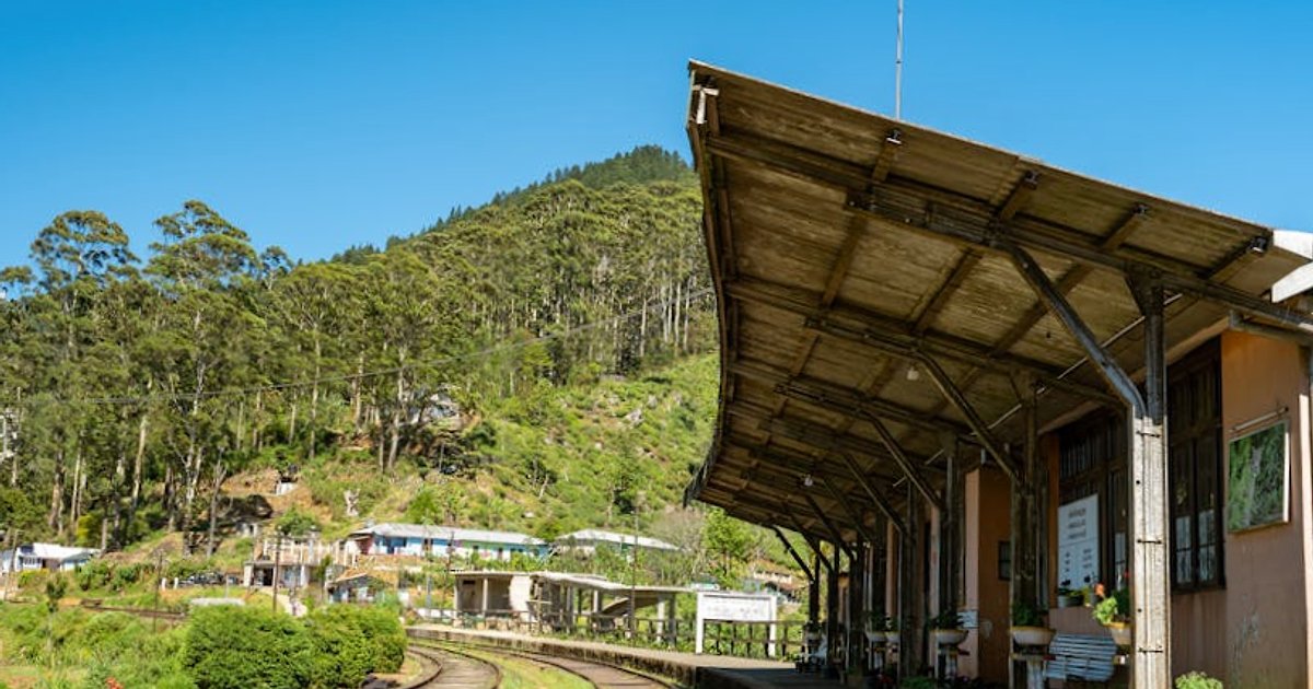 Gotowy plan na 10 dni na Sri Lance 2026: trekking, safari, pociąg Kandy–Ella i surfing w jednym wyjeździe